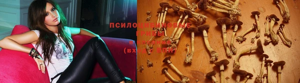 гашиш Алексеевка