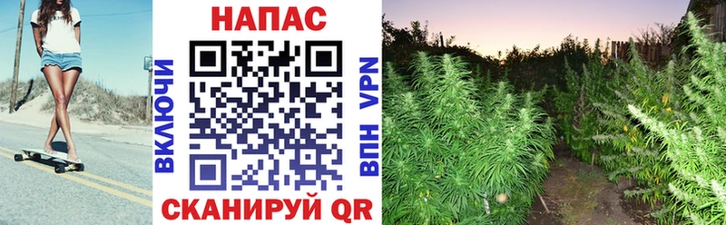 Шишки марихуана Bruce Banner  как найти закладки  дарк нет формула  Бикин 